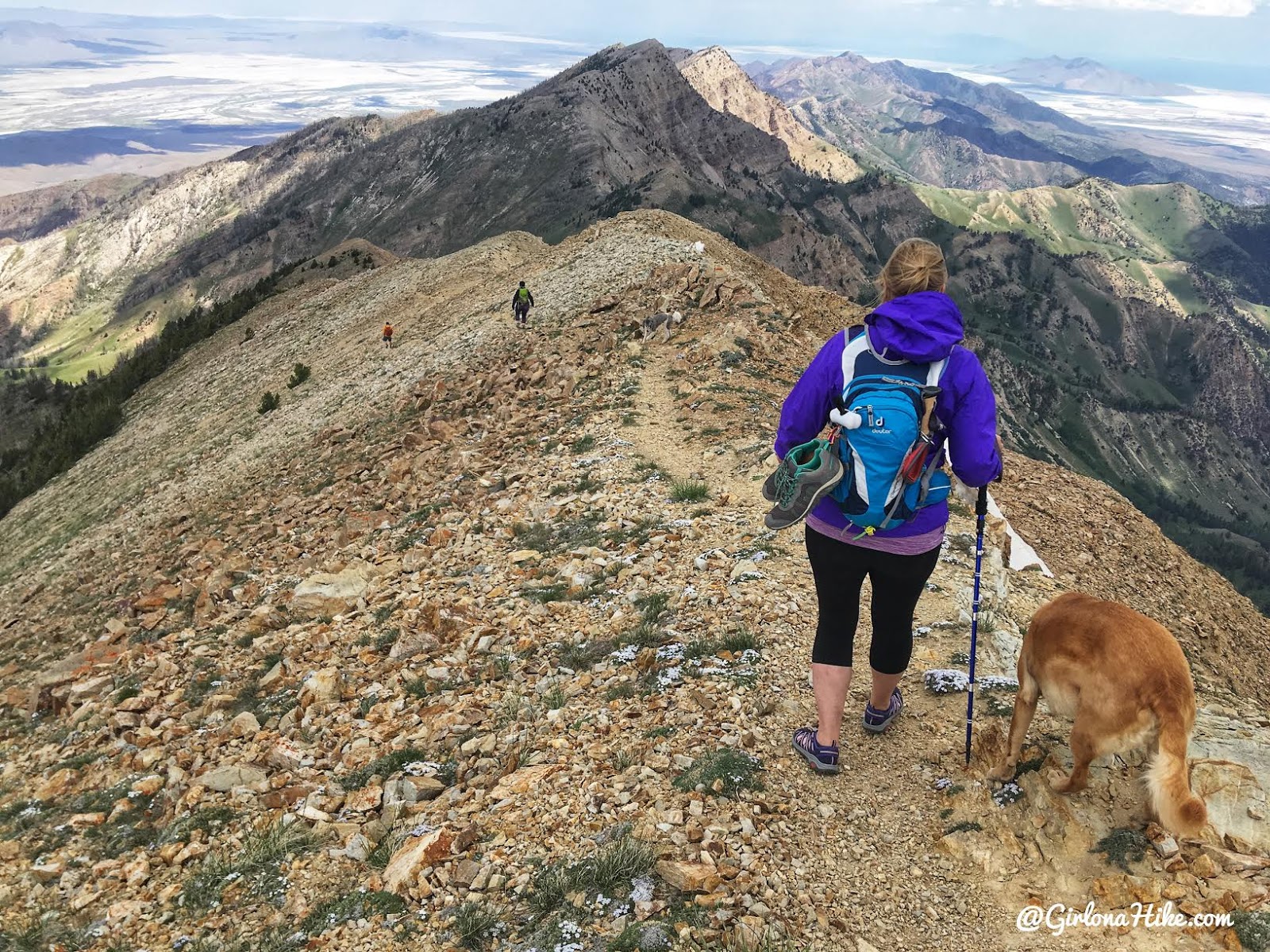 Hiking to Deseret Peak, Utah's Ultra Prominence Peaks, Hiking in Utah with Dogs