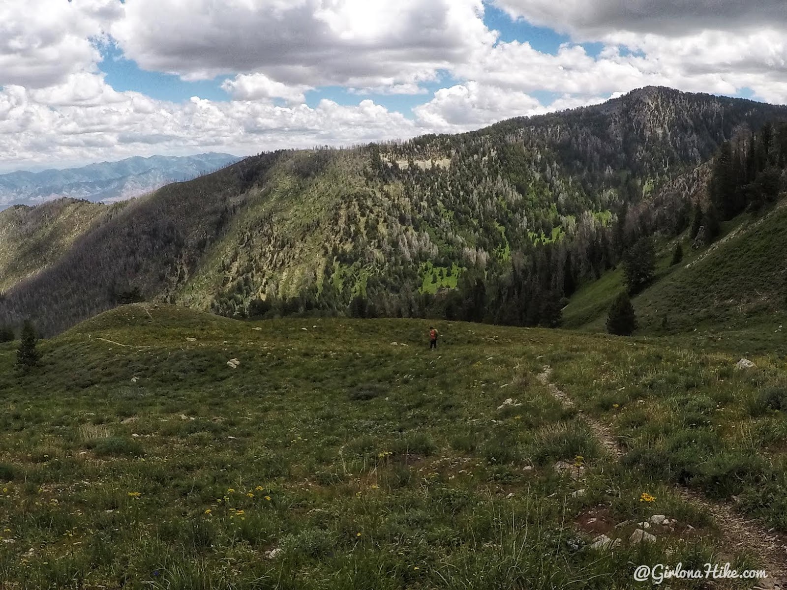 Hiking to Deseret Peak, Utah's Ultra Prominence Peaks, Hiking in Utah with Dogs