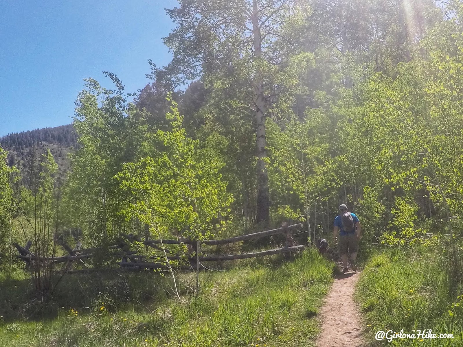 Hiking to Nobletts Creek, Uintas