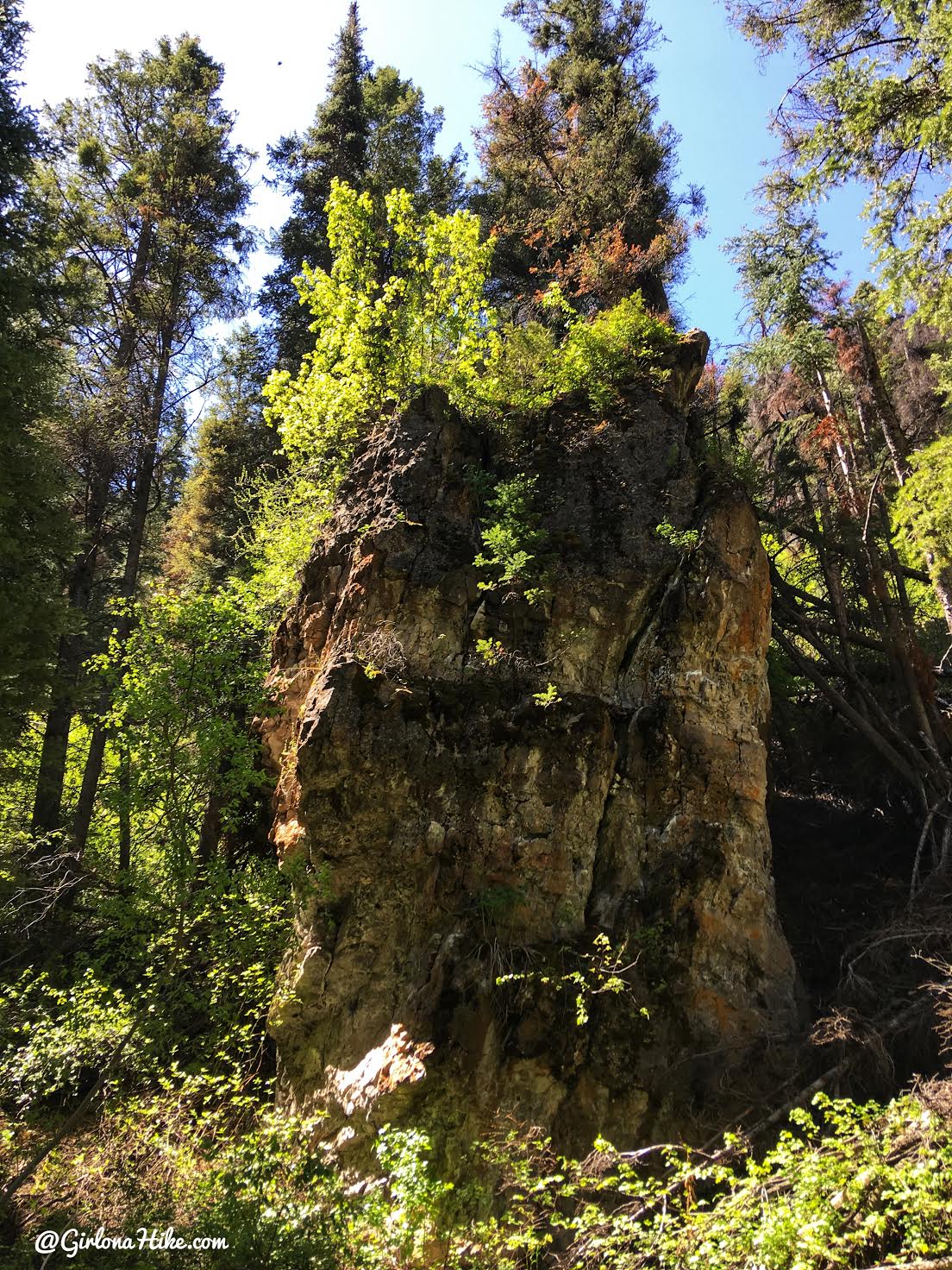 Hiking to Nobletts Creek, Uintas