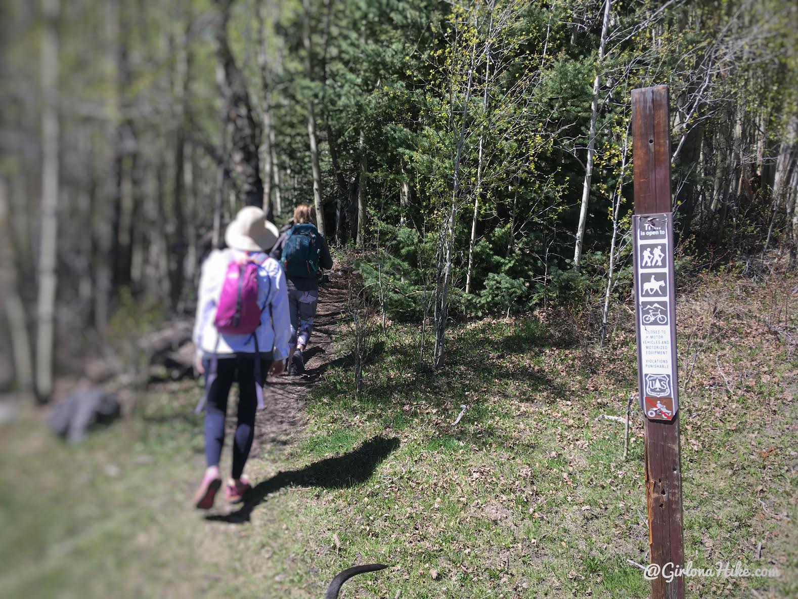 Hiking to Blind Lake, Boulder Mountain