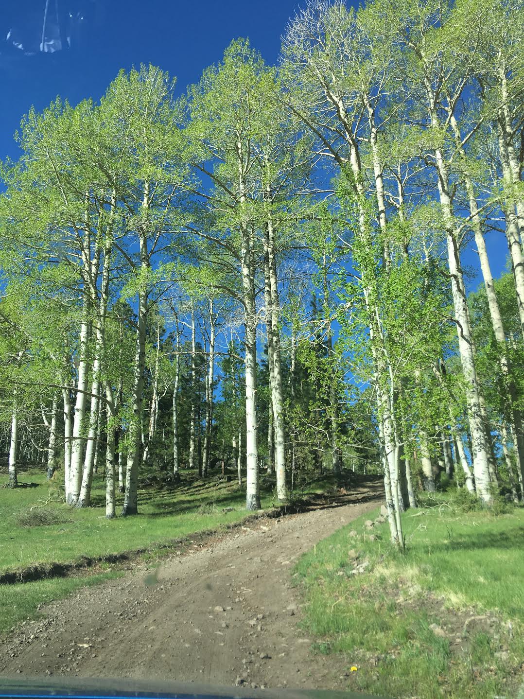 Hiking the Behunin Trail & Meeks Lake Loop, Boulder Mountain