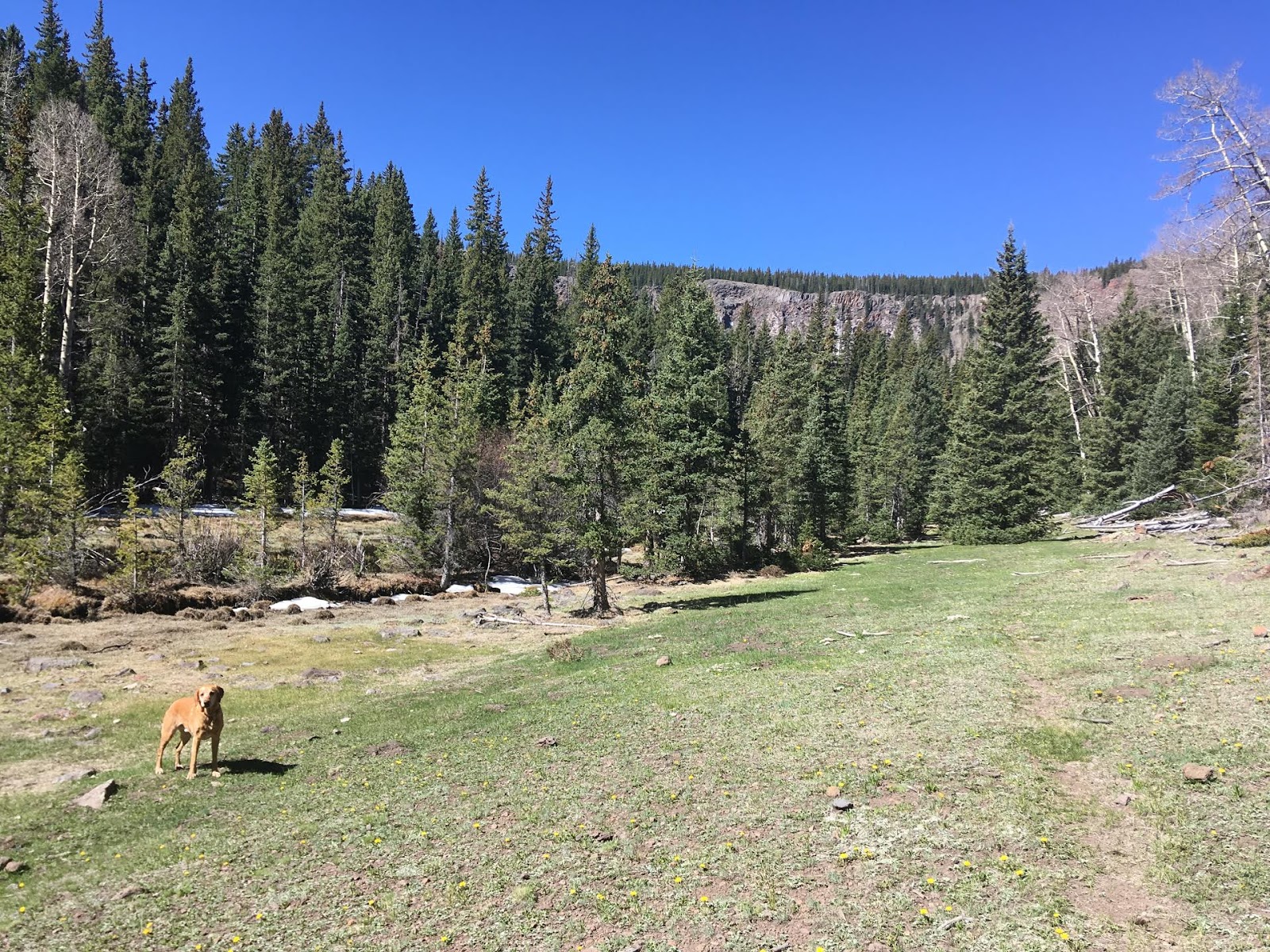 Hiking the Behunin Trail & Meeks Lake Loop, Boulder Mountain