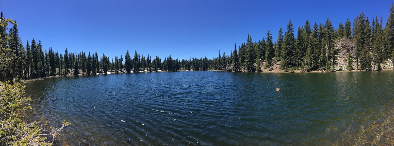 Hiking the Behunin Trail & Meeks Lake Loop, Boulder Mountain