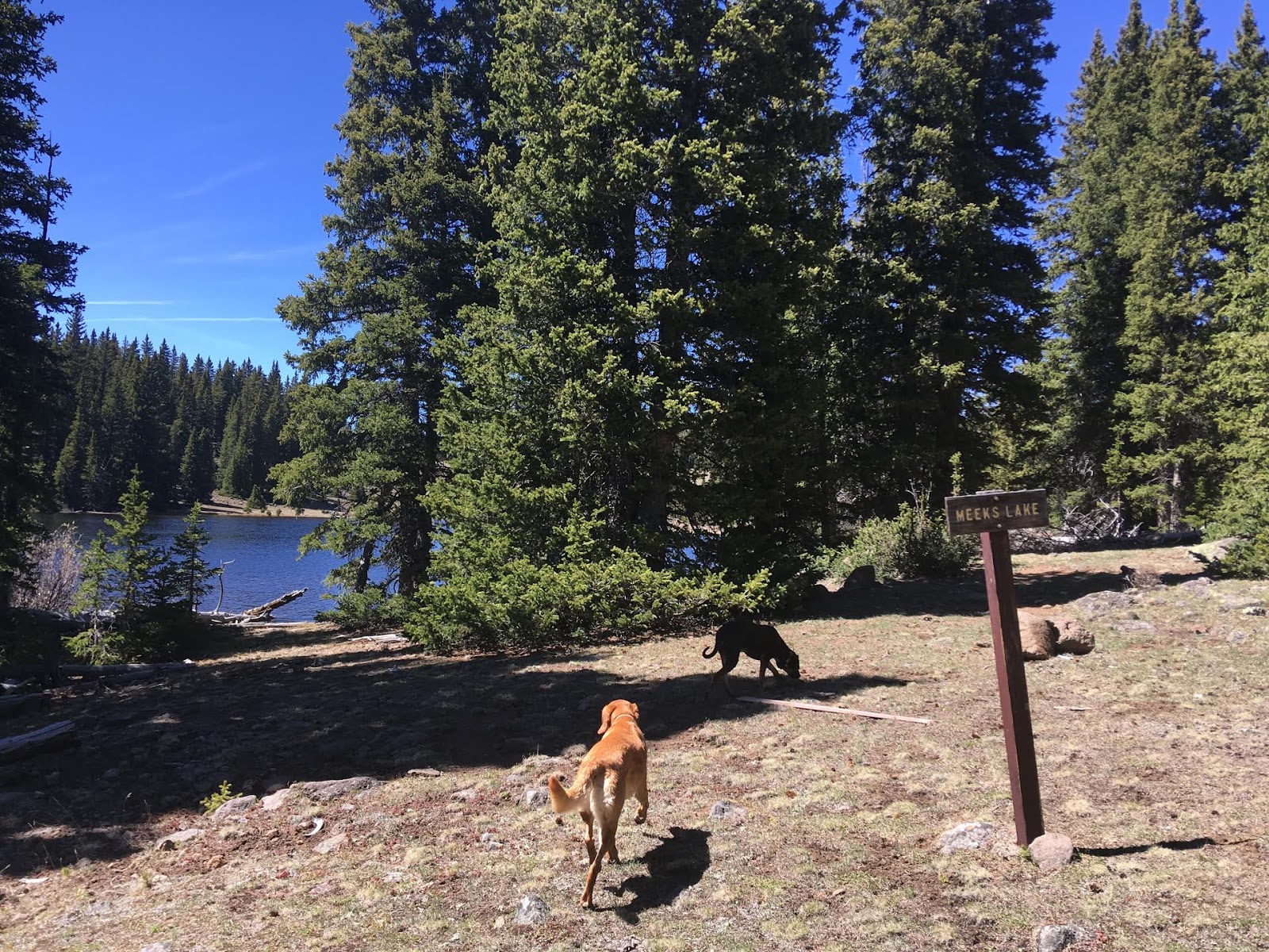 Hiking the Behunin Trail & Meeks Lake Loop, Boulder Mountain