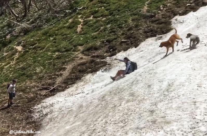 Hiking to Deseret Peak, Utah's Ultra Prominence Peaks, Hiking in Utah with Dogs