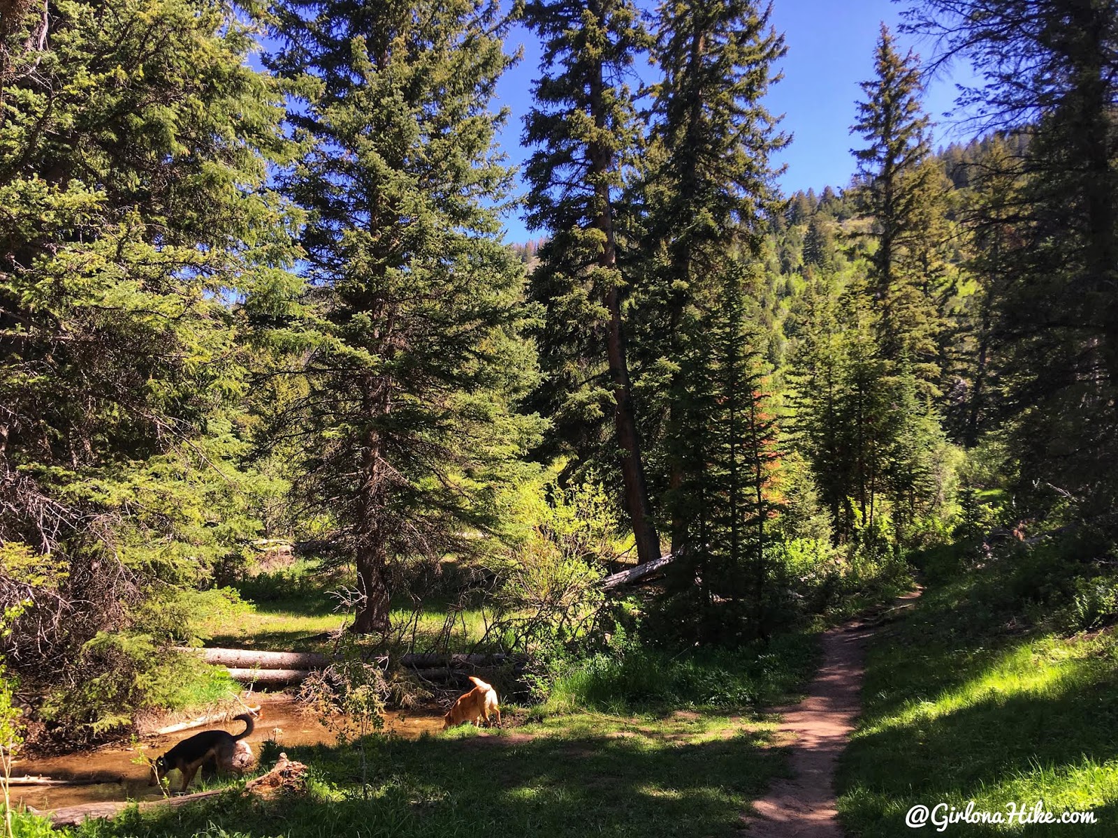 Hiking to Nobletts Creek, Uintas