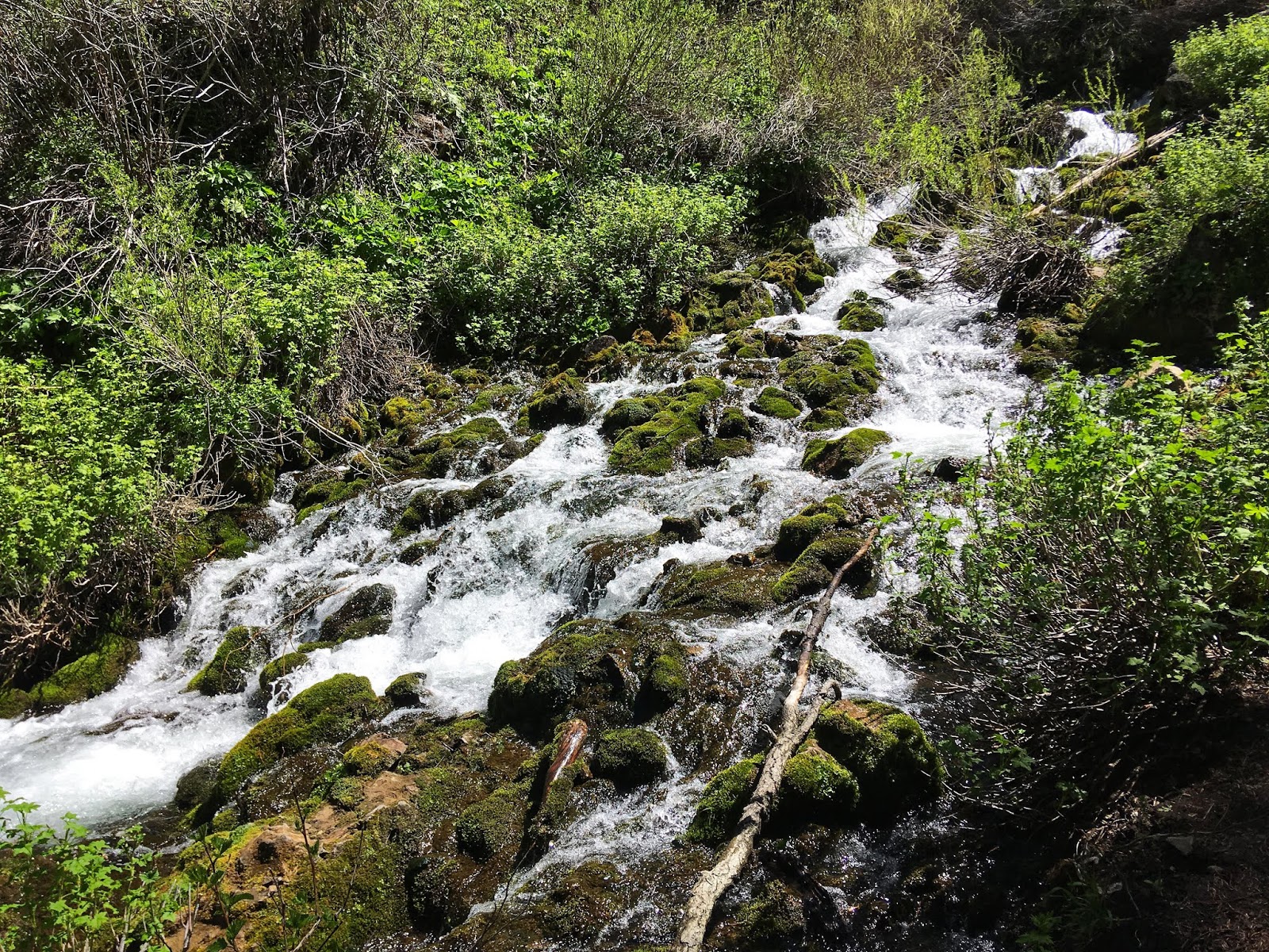 Hiking to Nobletts Creek, Uintas