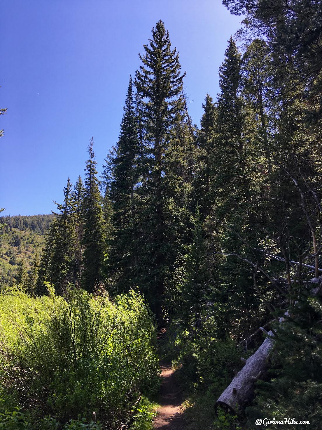 Hiking to Nobletts Creek, Uintas