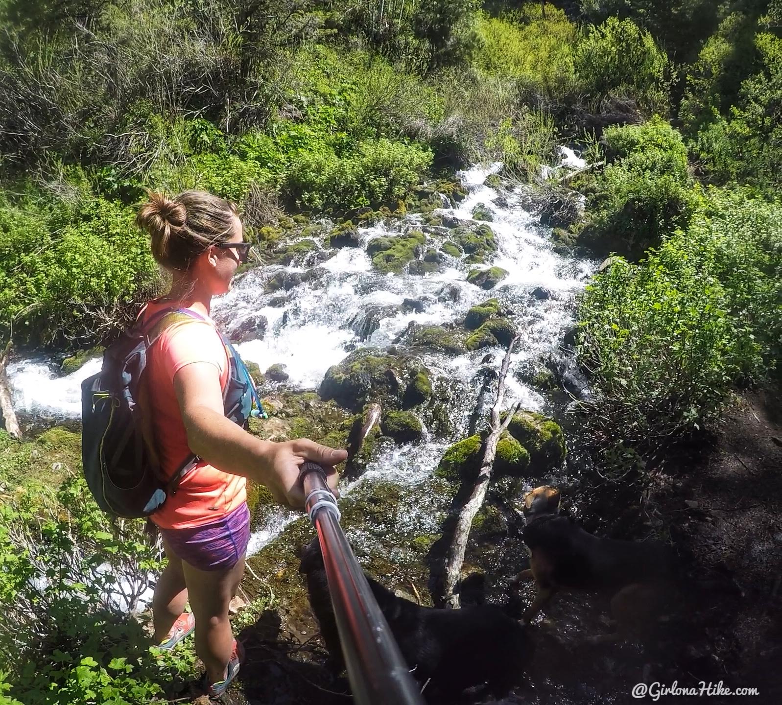 Hiking to Nobletts Creek, Uintas