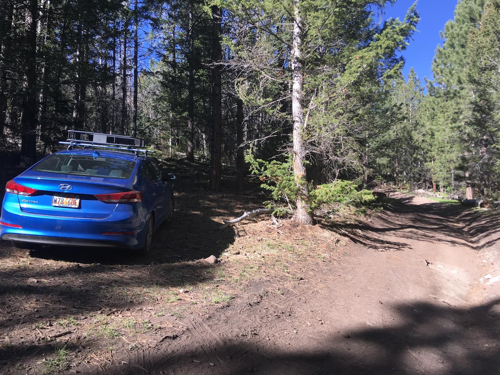 Hiking the Behunin Trail & Meeks Lake Loop, Boulder Mountain