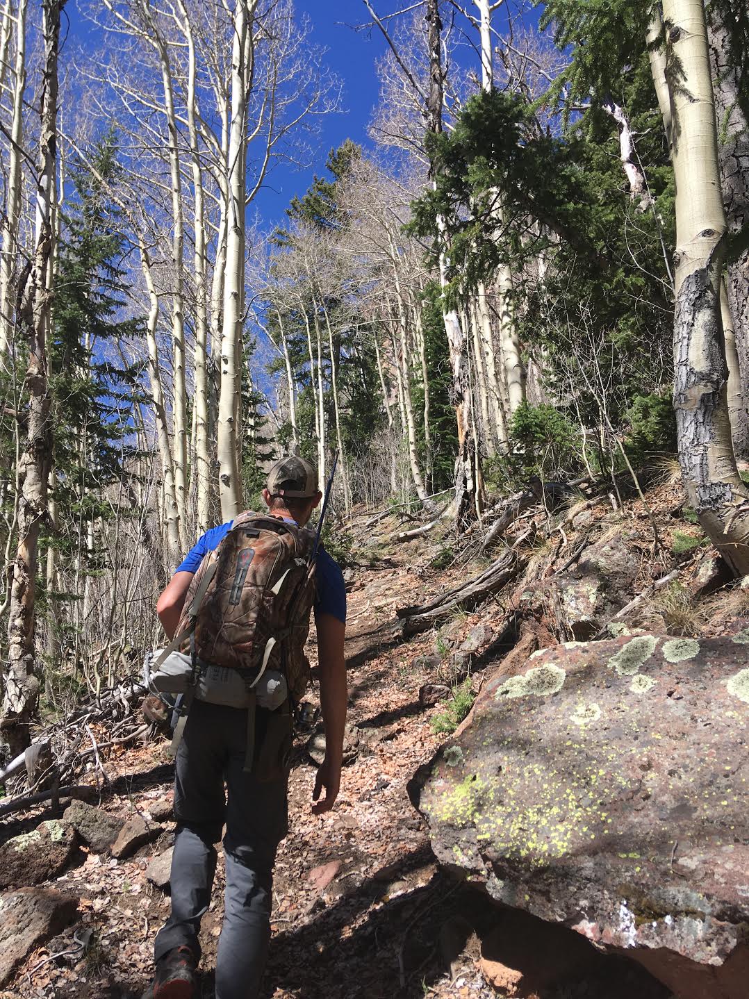 Hiking the Behunin Trail & Meeks Lake Loop, Boulder Mountain