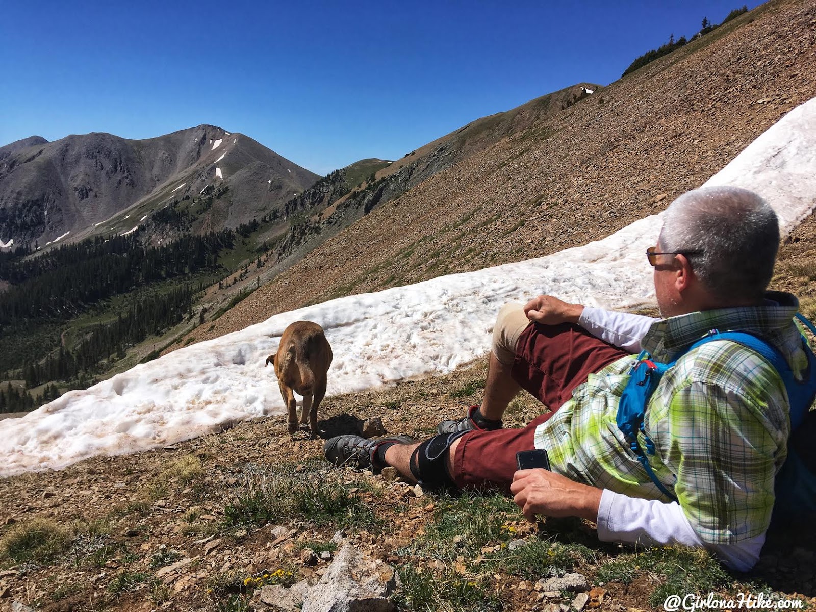 Hiking to Mt. Waas, LaSal Mountains, Grand County High Point, Hiking in Utah with Dogs