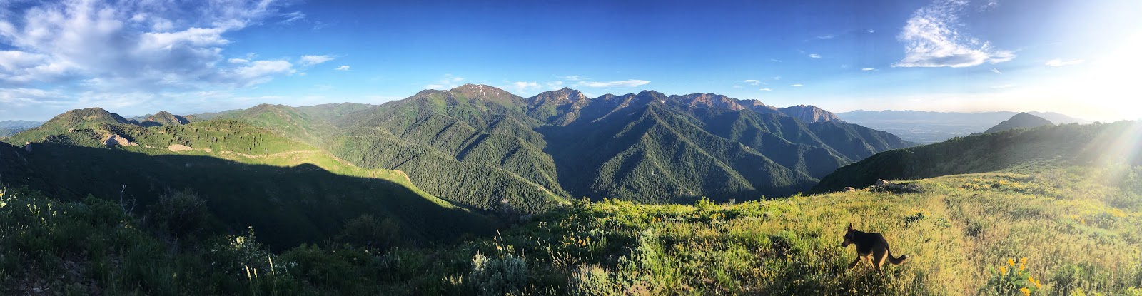 Hiking to Church Fork Peak, Milcreek Canyon