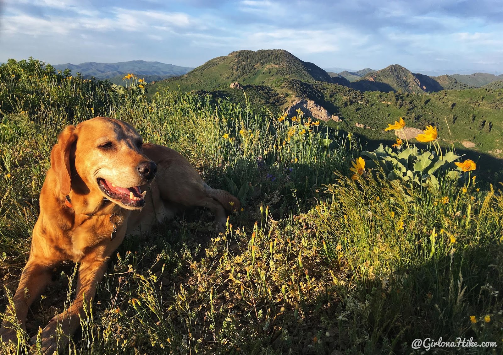 Hiking to Church Fork Peak, Milcreek Canyon