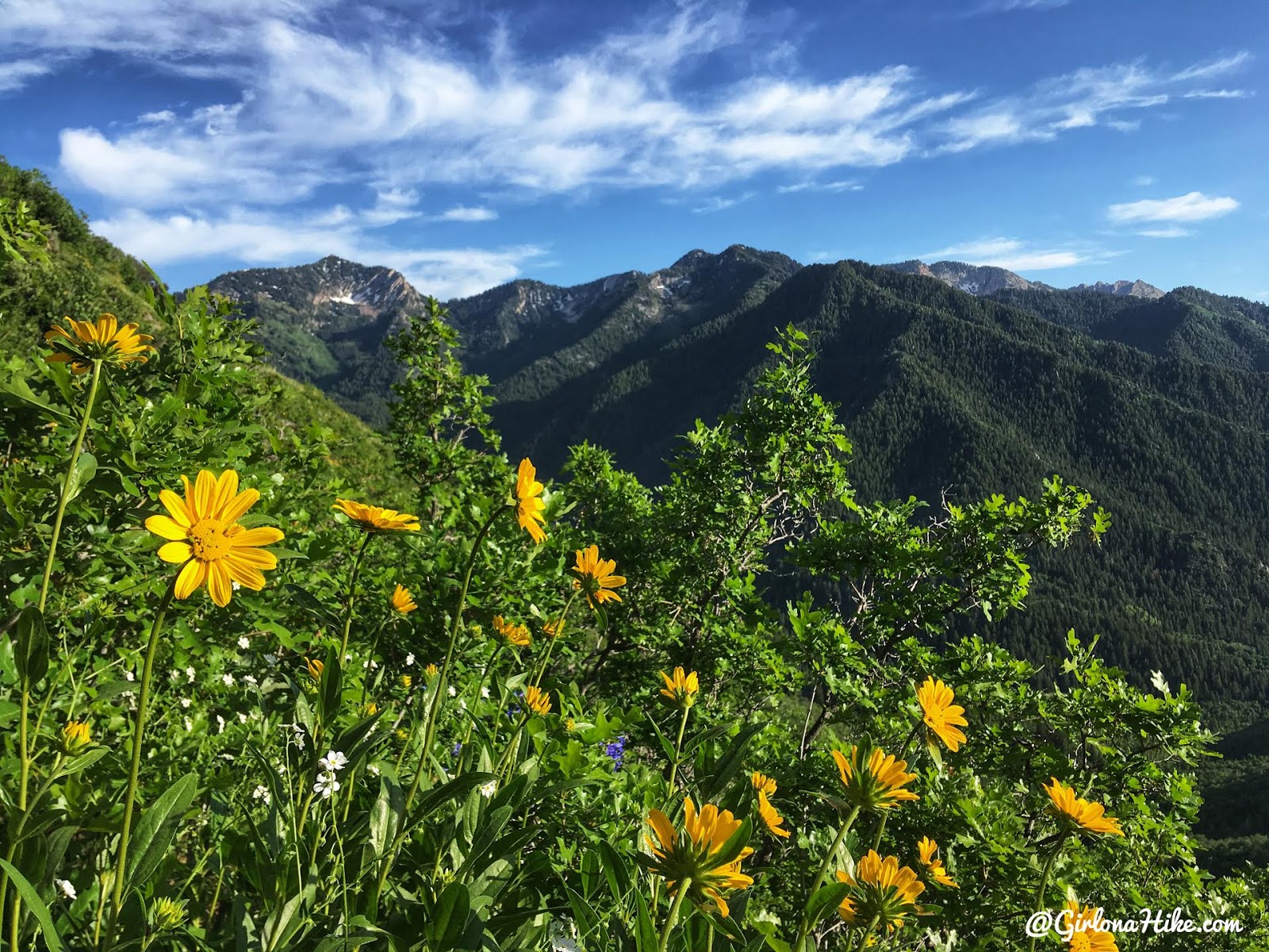 Hiking to Church Fork Peak, Milcreek Canyon