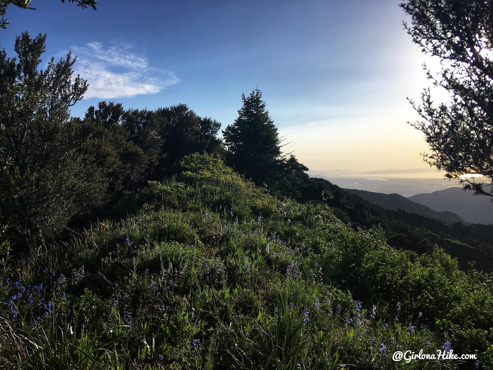 Hiking to Church Fork Peak, Milcreek Canyon