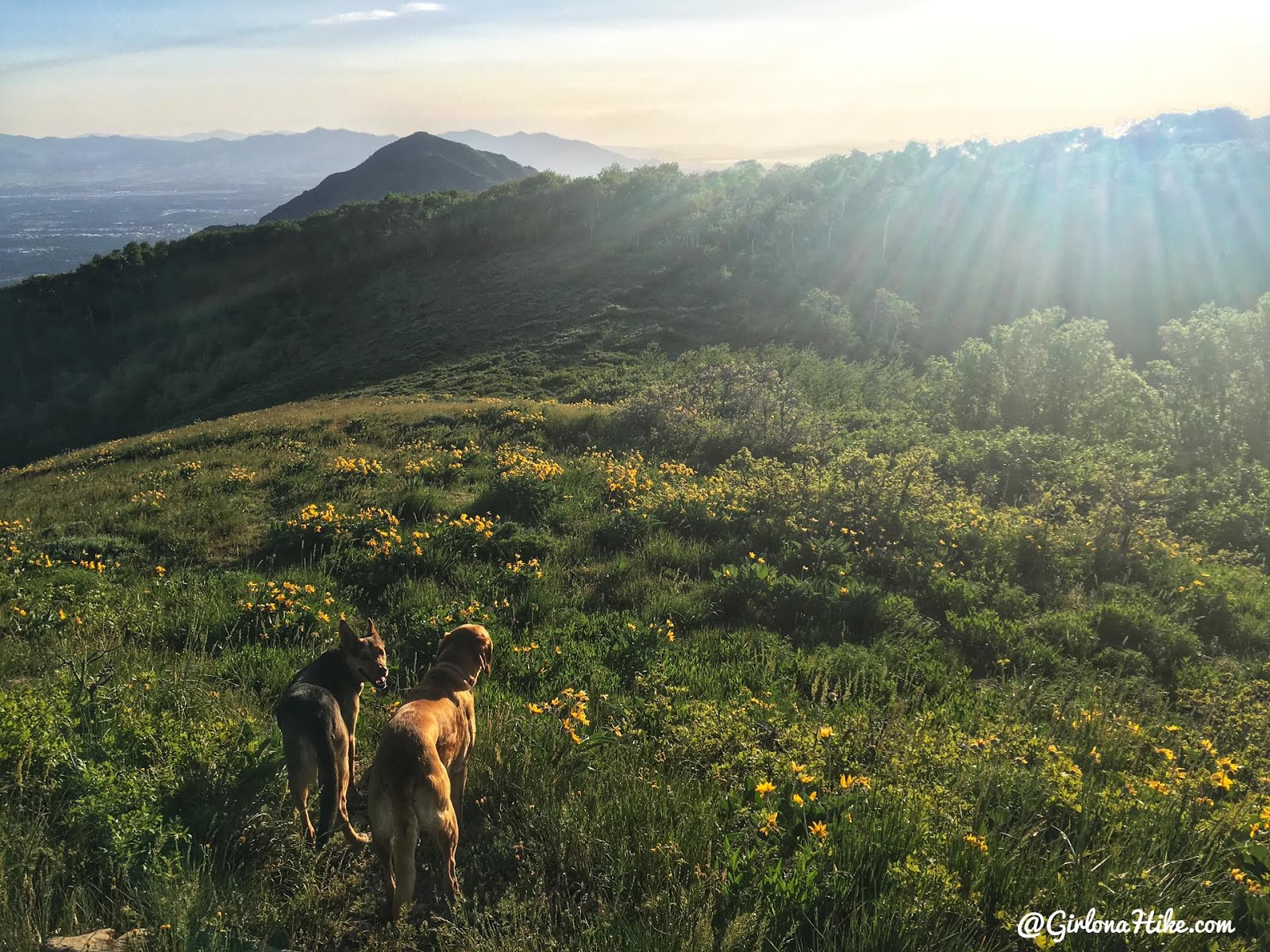 Hiking to Church Fork Peak, Milcreek Canyon