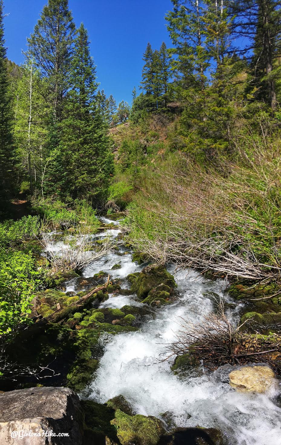 Hiking to Nobletts Creek, Uintas