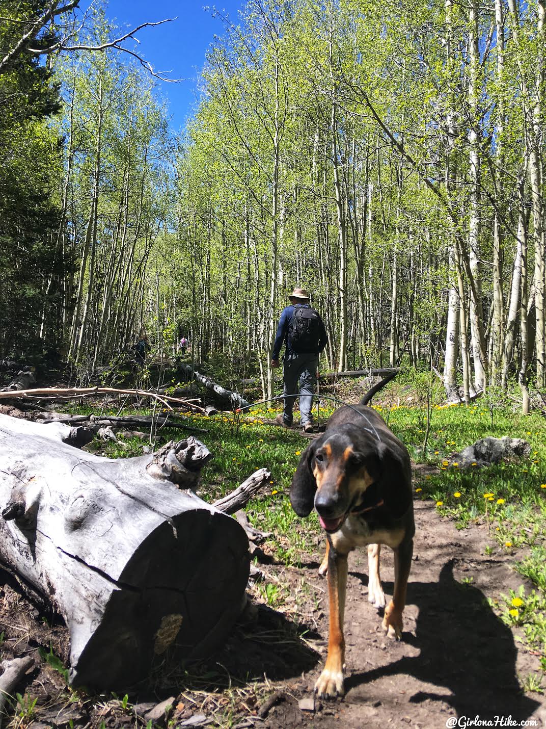 Hiking to Blind Lake, Boulder Mountain