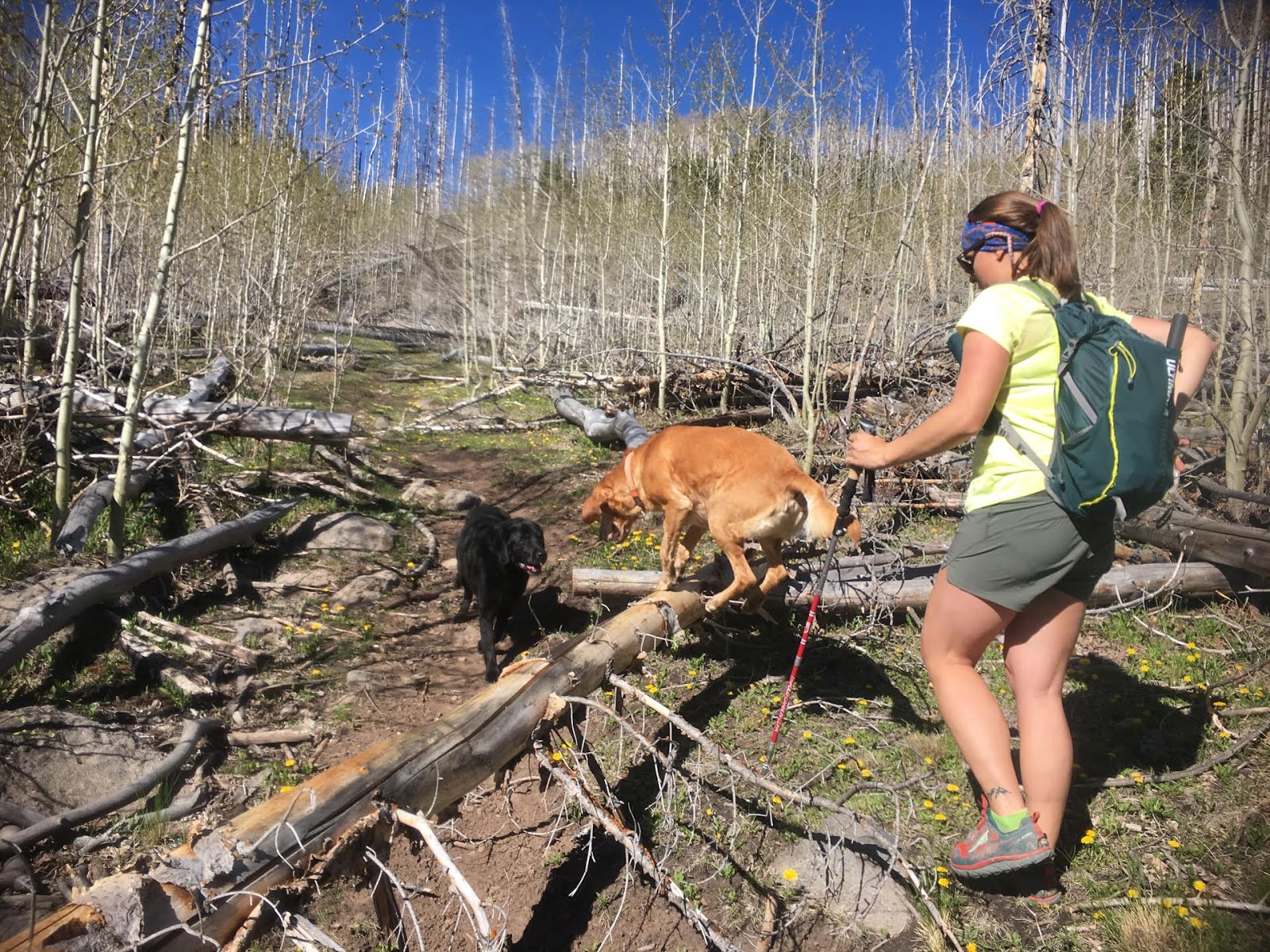 Hiking the Behunin Trail & Meeks Lake Loop, Boulder Mountain