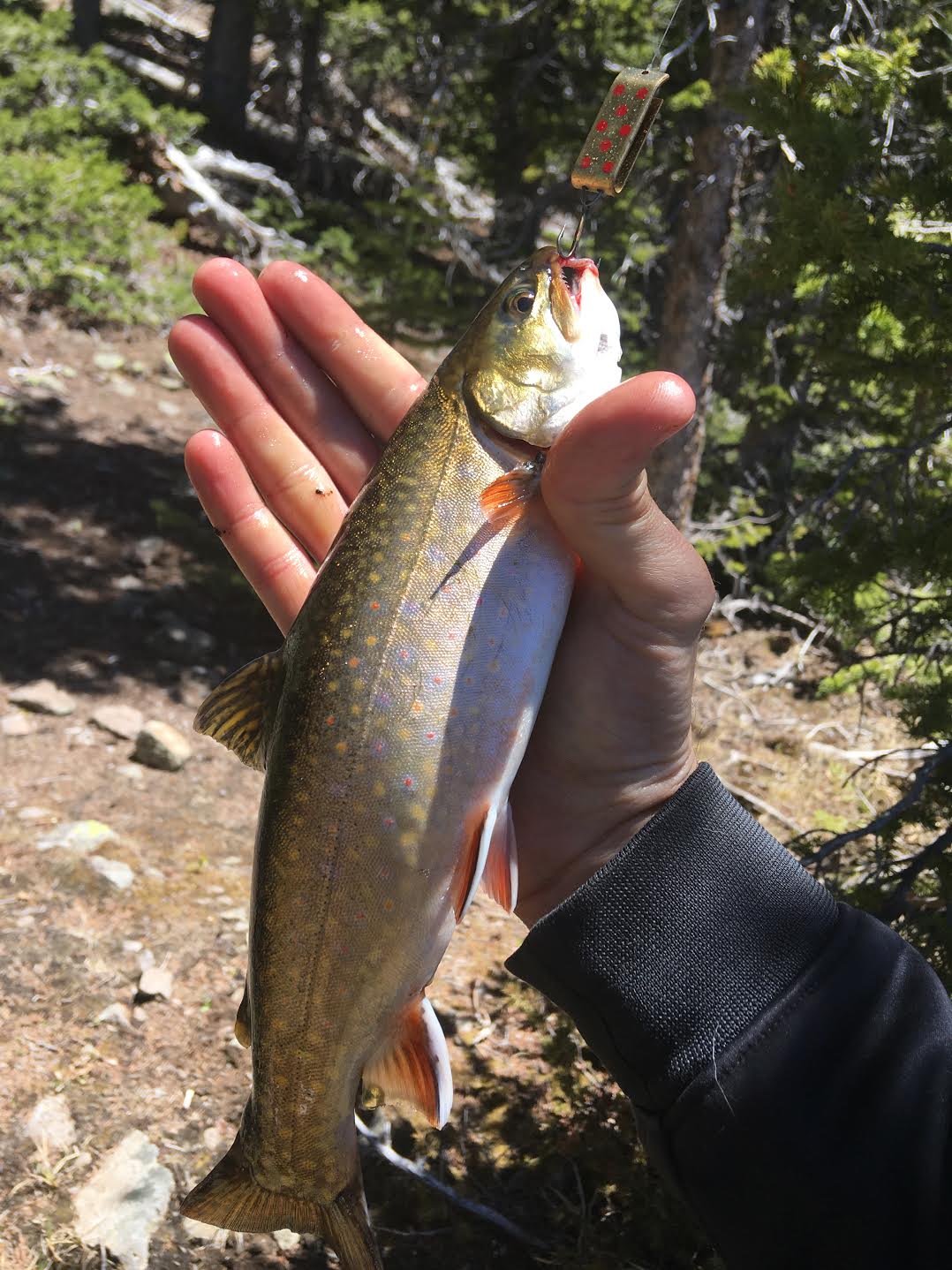 Hiking the Behunin Trail & Meeks Lake Loop, Boulder Mountain