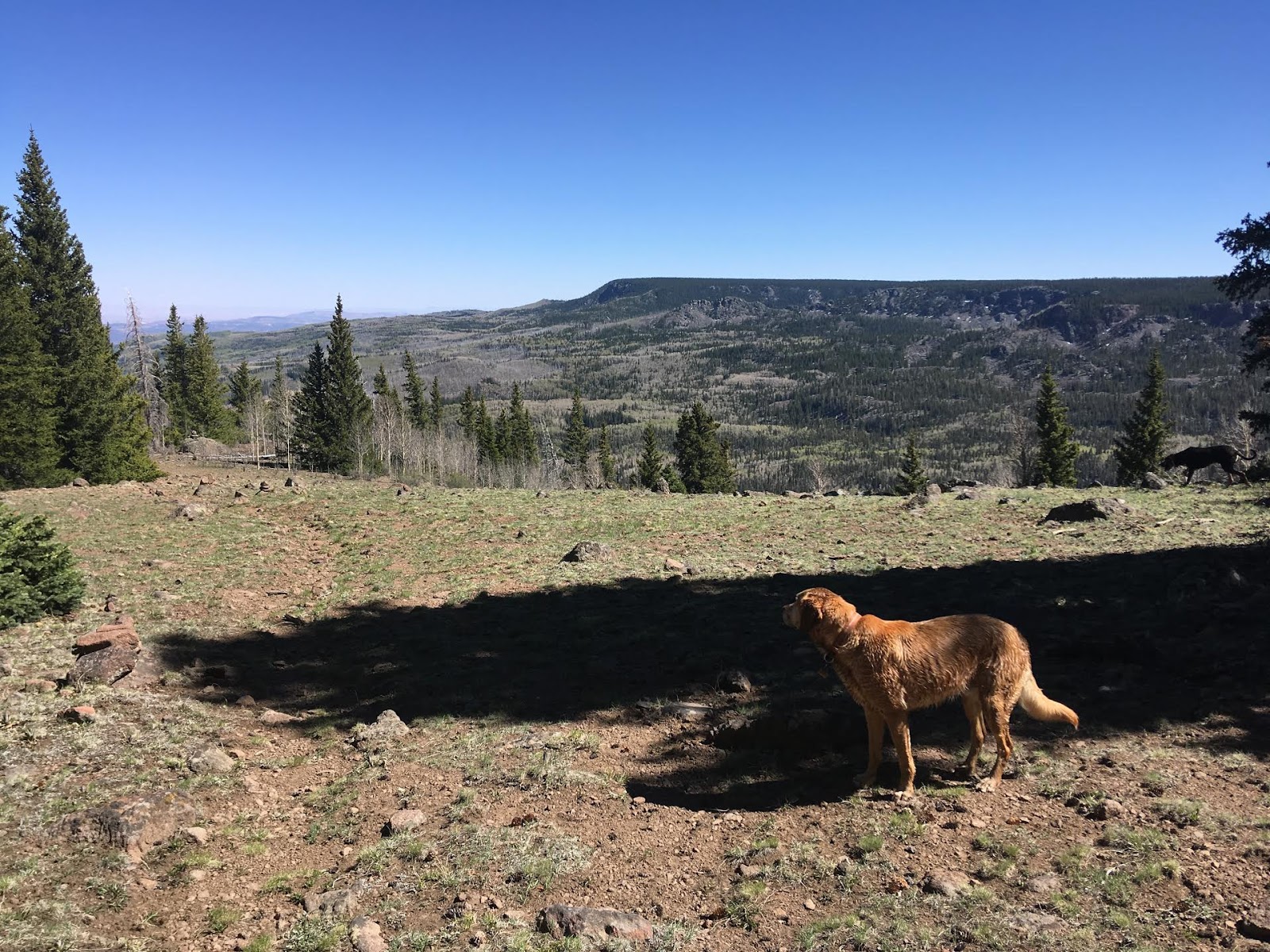 Hiking the Behunin Trail & Meeks Lake Loop, Boulder Mountain