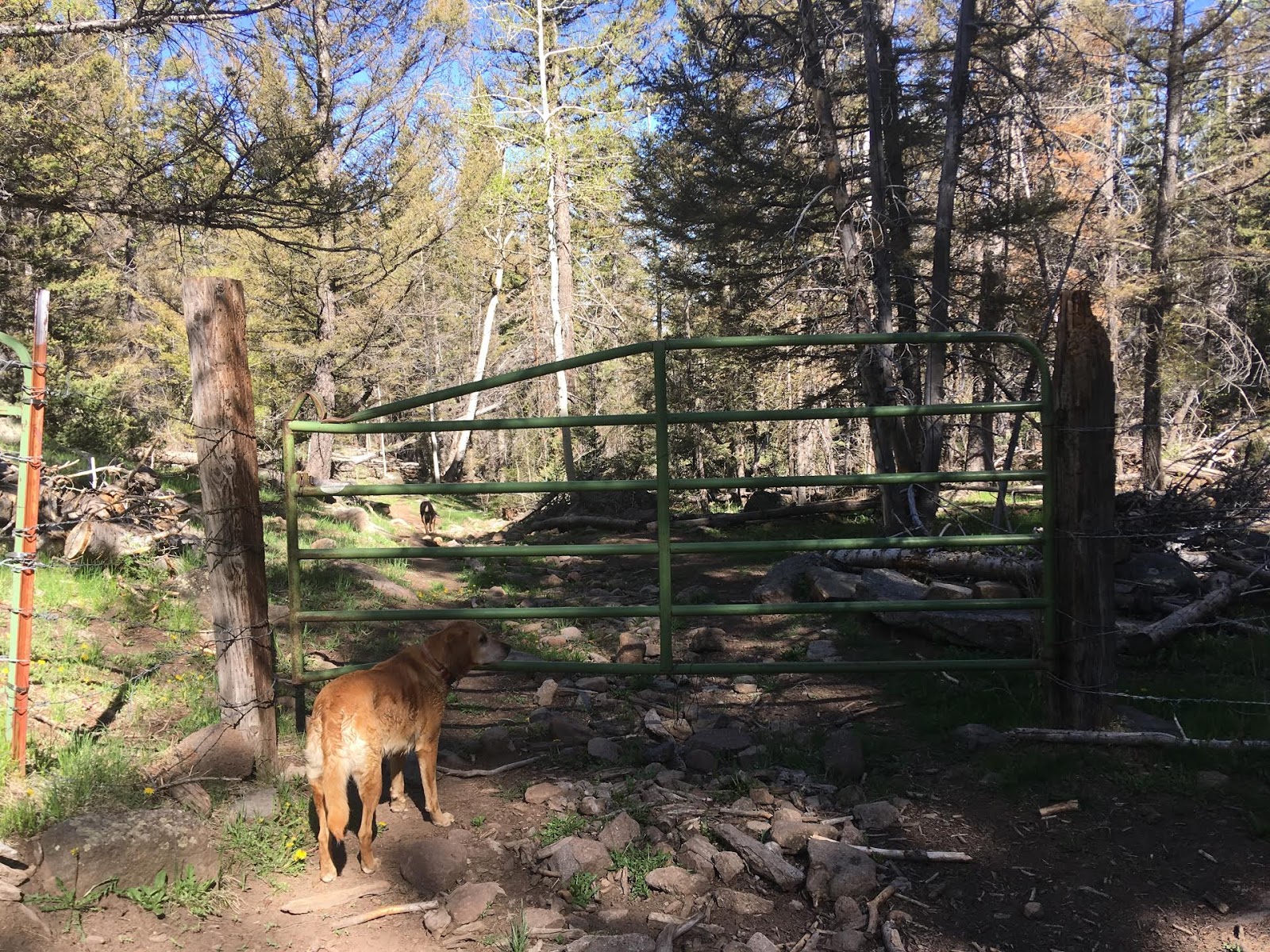 Hiking the Behunin Trail & Meeks Lake Loop, Boulder Mountain