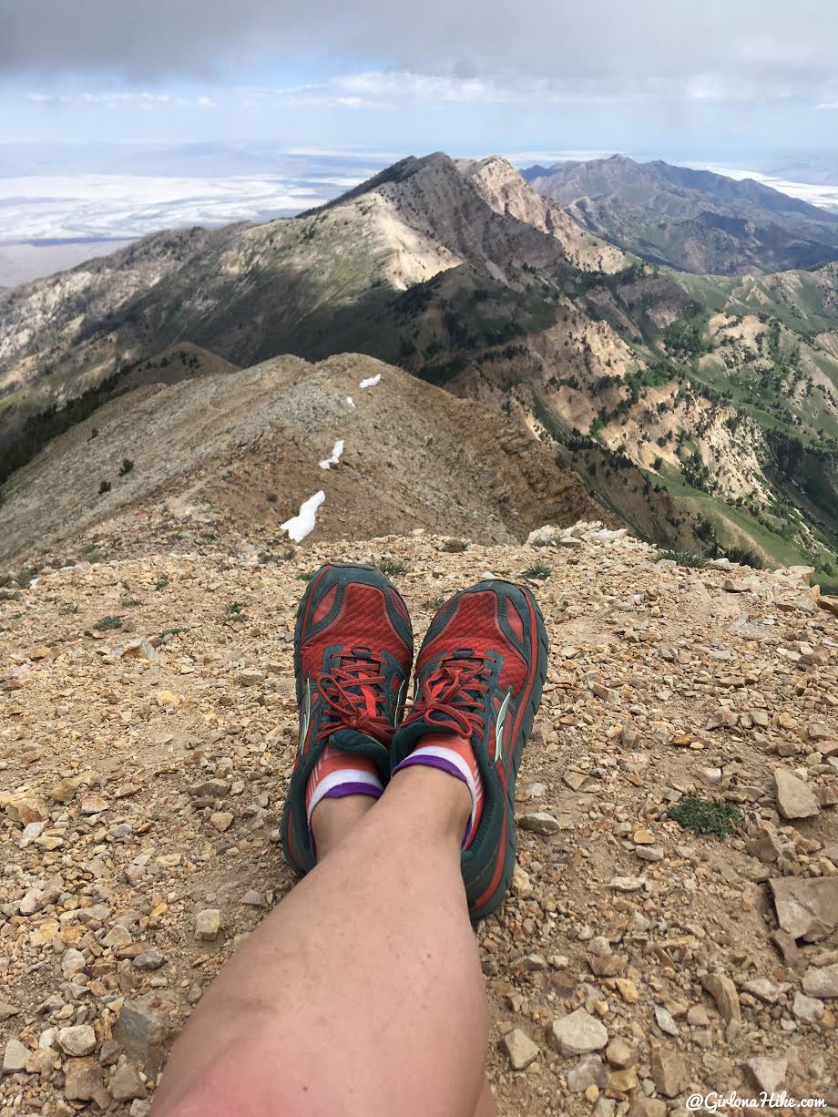 Hiking to Deseret Peak, Utah's Ultra Prominence Peaks, Hiking in Utah with Dogs