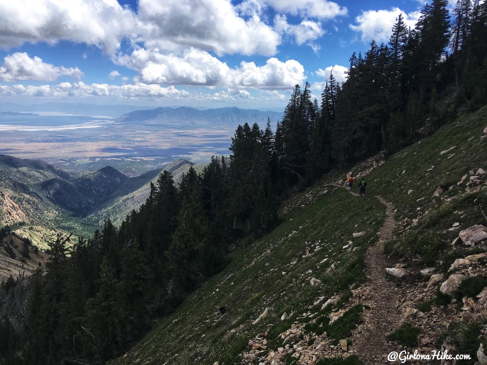 Hiking to Deseret Peak, Utah's Ultra Prominence Peaks, Hiking in Utah with Dogs