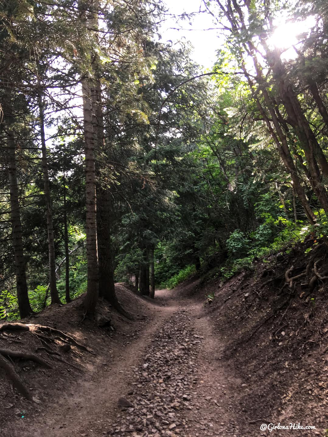 Hiking to Church Fork Peak, Milcreek Canyon