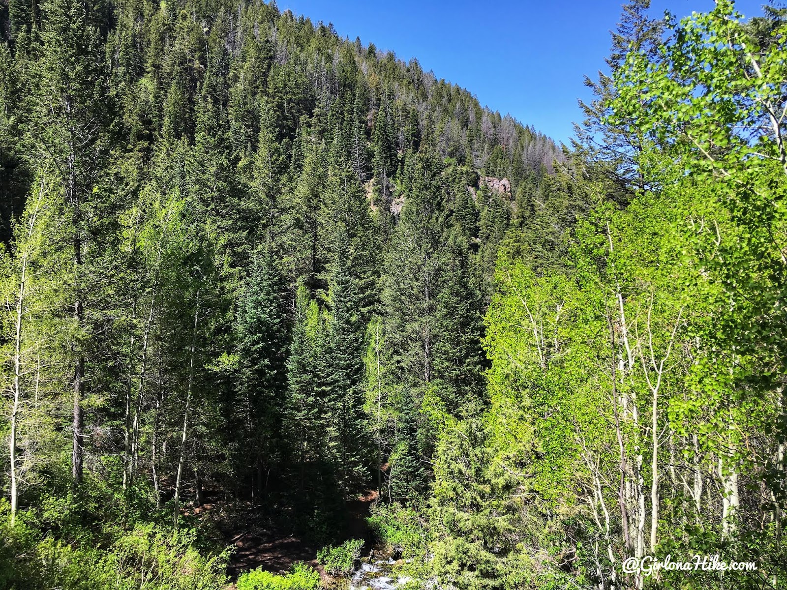 Hiking to Nobletts Creek, Uintas