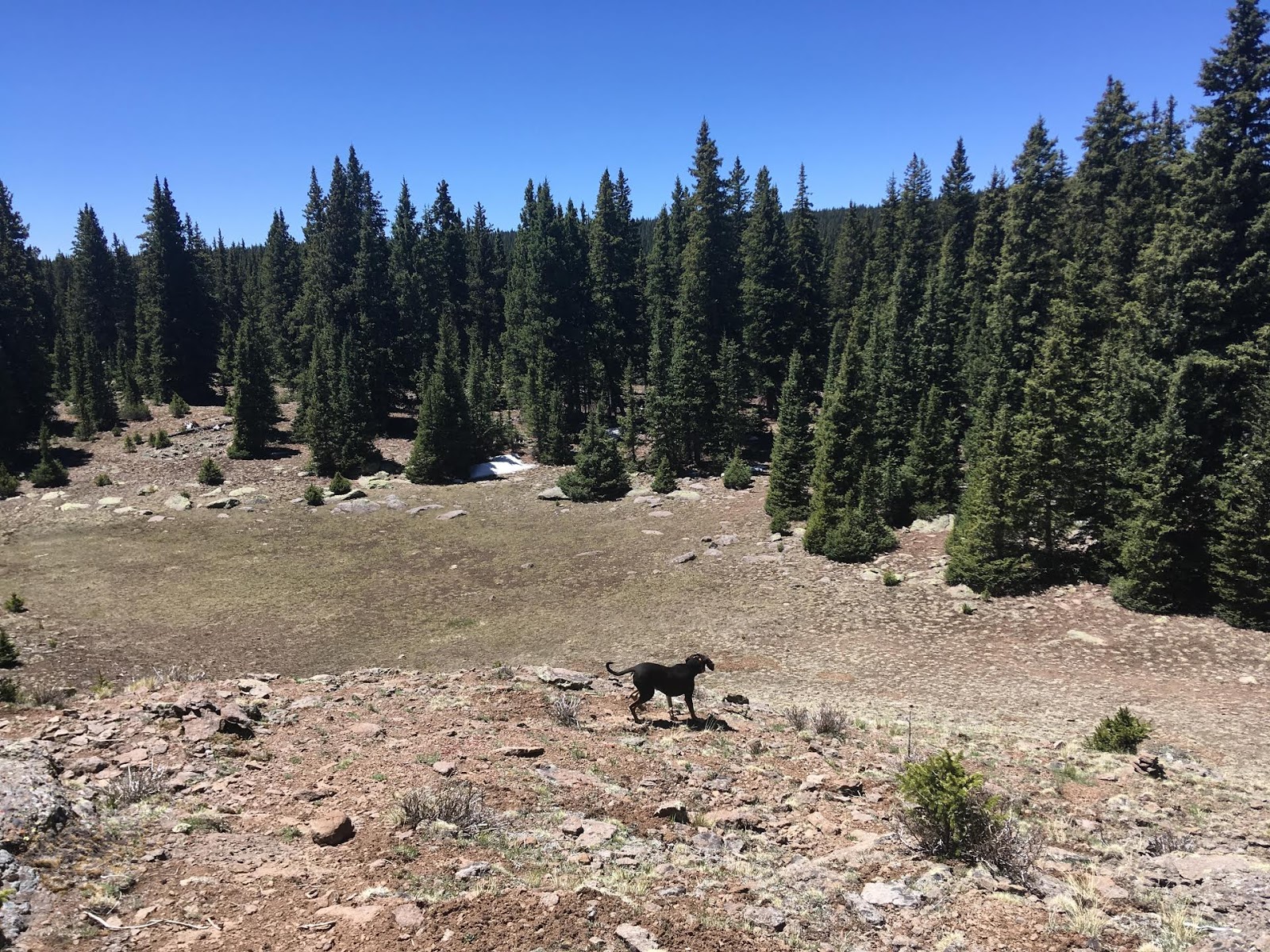 Hiking the Behunin Trail & Meeks Lake Loop, Boulder Mountain