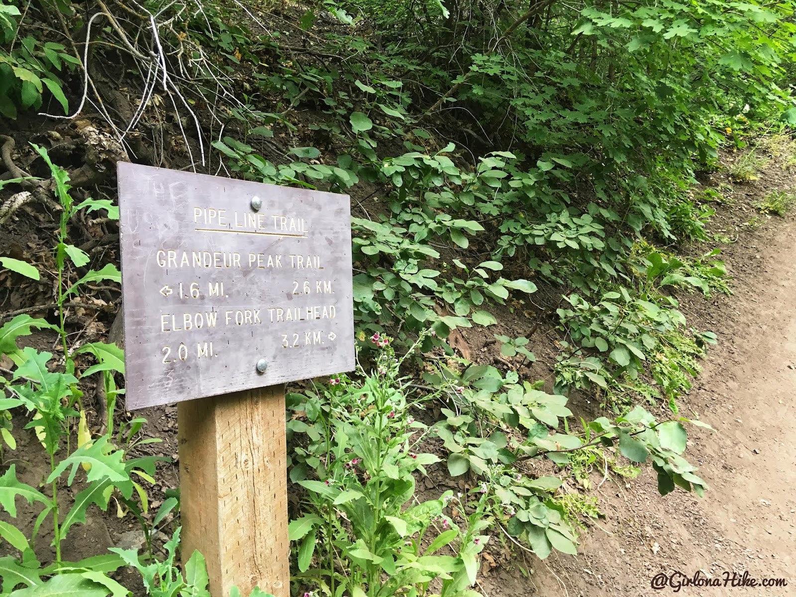 Hiking to Church Fork Peak, Milcreek Canyon