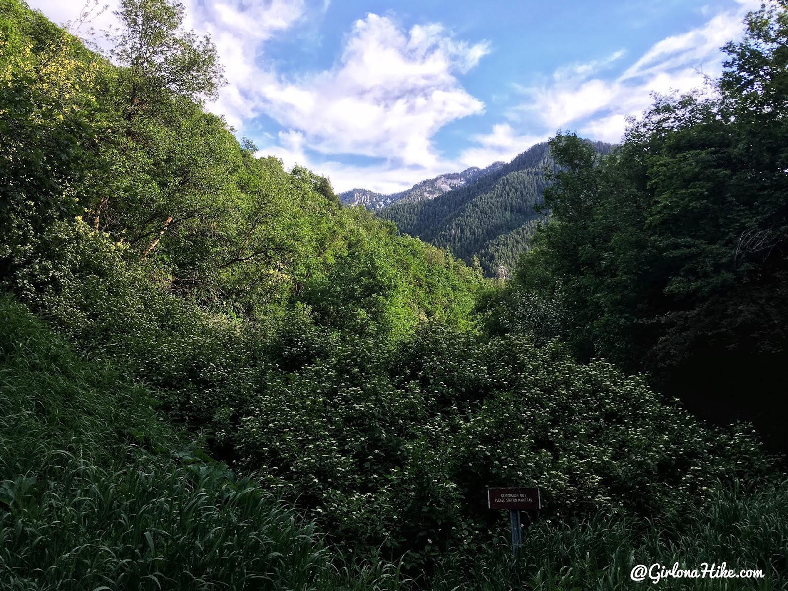 Hiking to Church Fork Peak, Milcreek Canyon