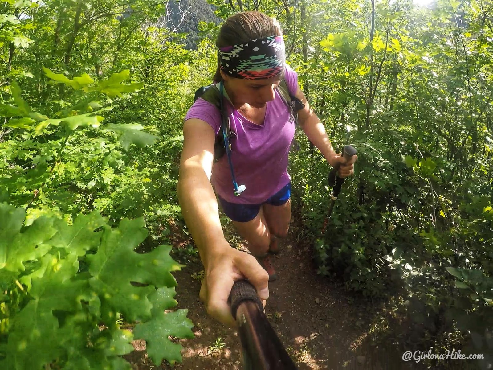 Hiking to Church Fork Peak, Milcreek Canyon