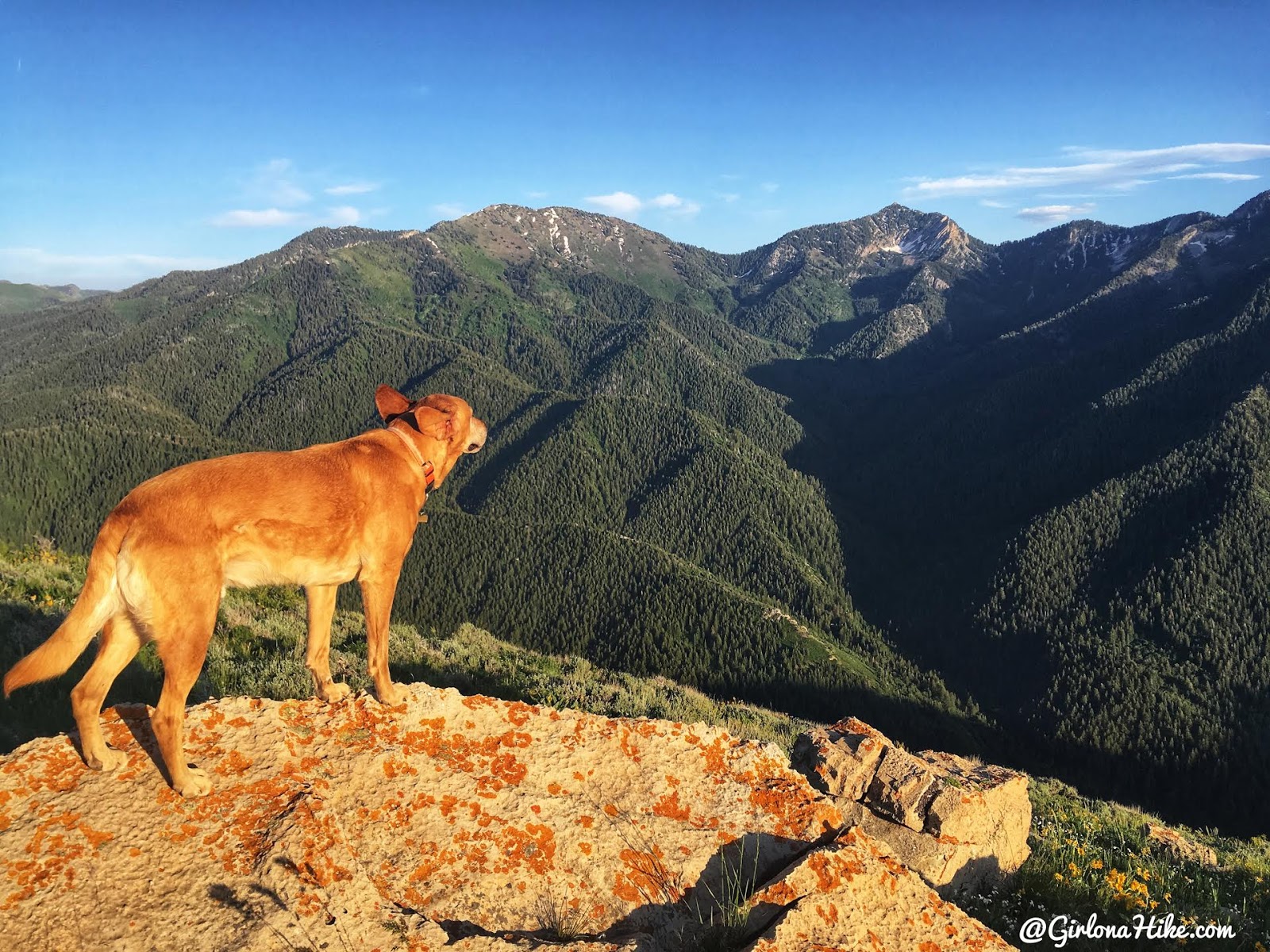 Hiking to Church Fork Peak, Milcreek Canyon