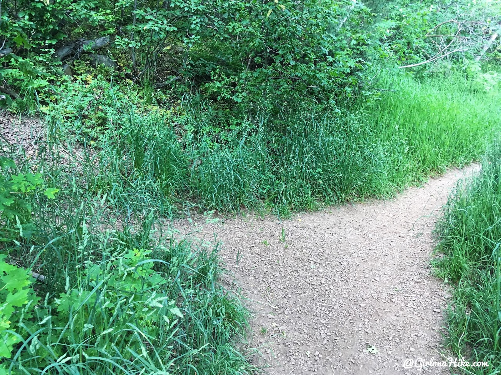 Hiking to Church Fork Peak, Milcreek Canyon