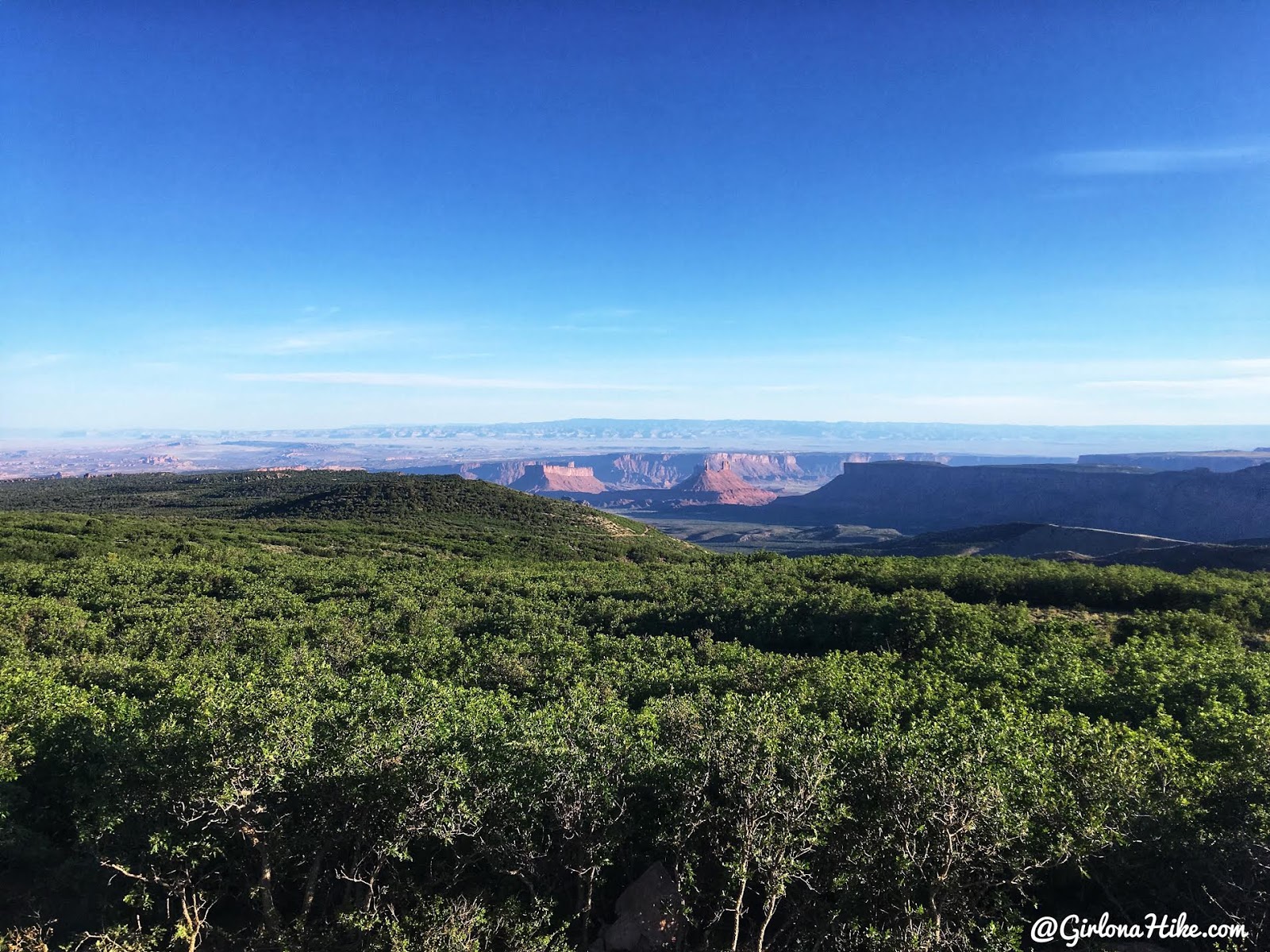 Hiking to Mt. Waas, LaSal Mountains, Grand County High Point, Hiking in Utah with Dogs