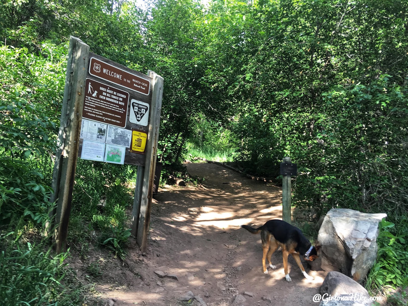 Hiking to Church Fork Peak, Milcreek Canyon