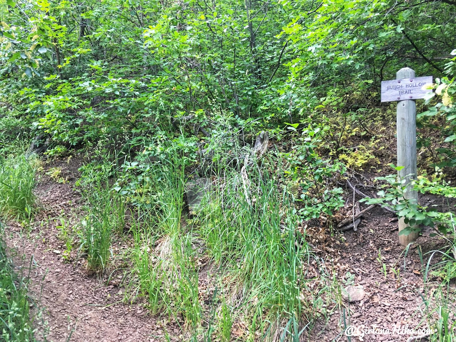 Hiking to Church Fork Peak, Milcreek Canyon