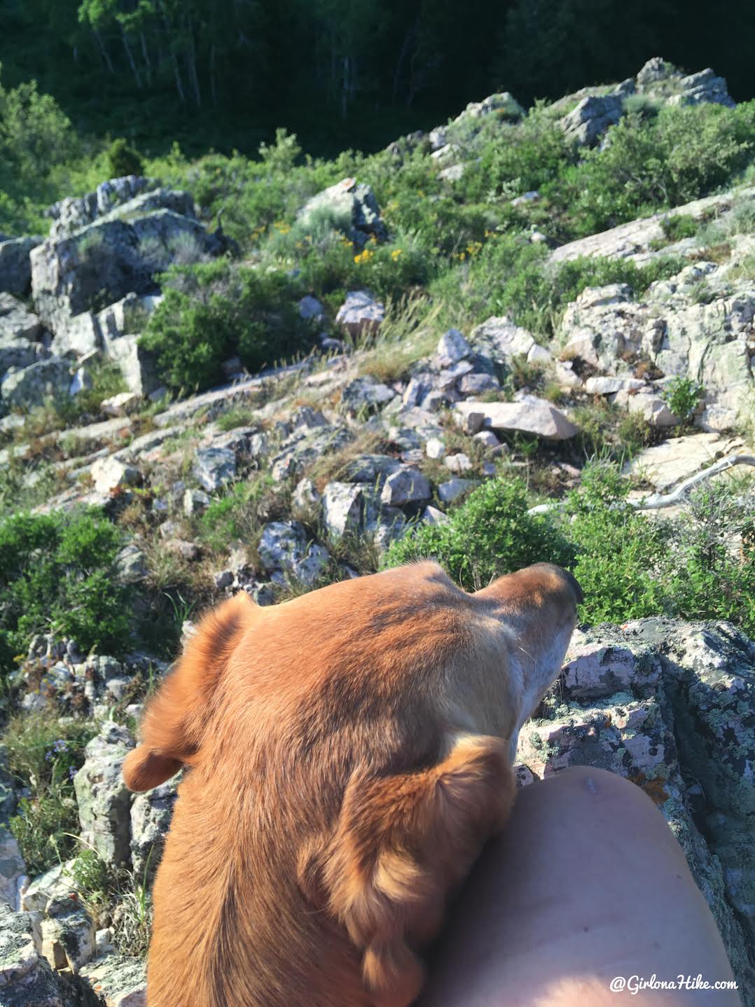 Hiking to Church Fork Peak, Milcreek Canyon