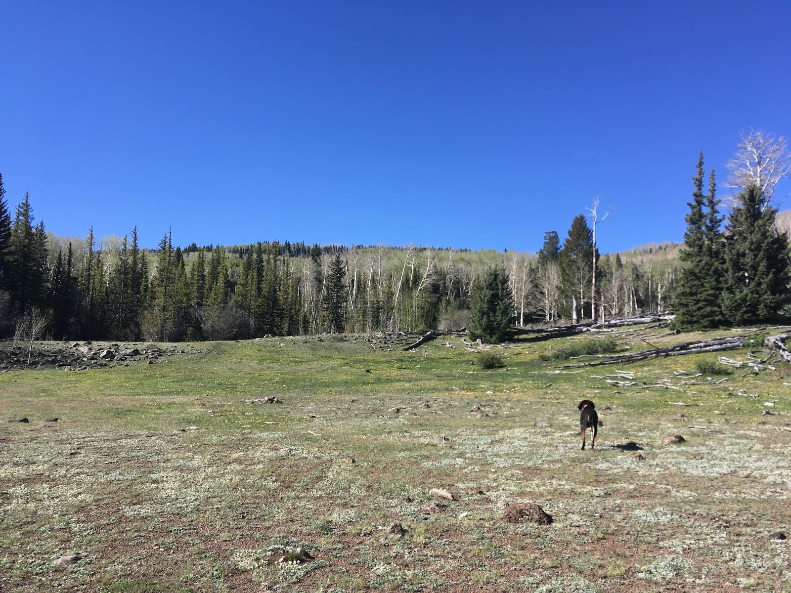 Hiking the Behunin Trail & Meeks Lake Loop, Boulder Mountain