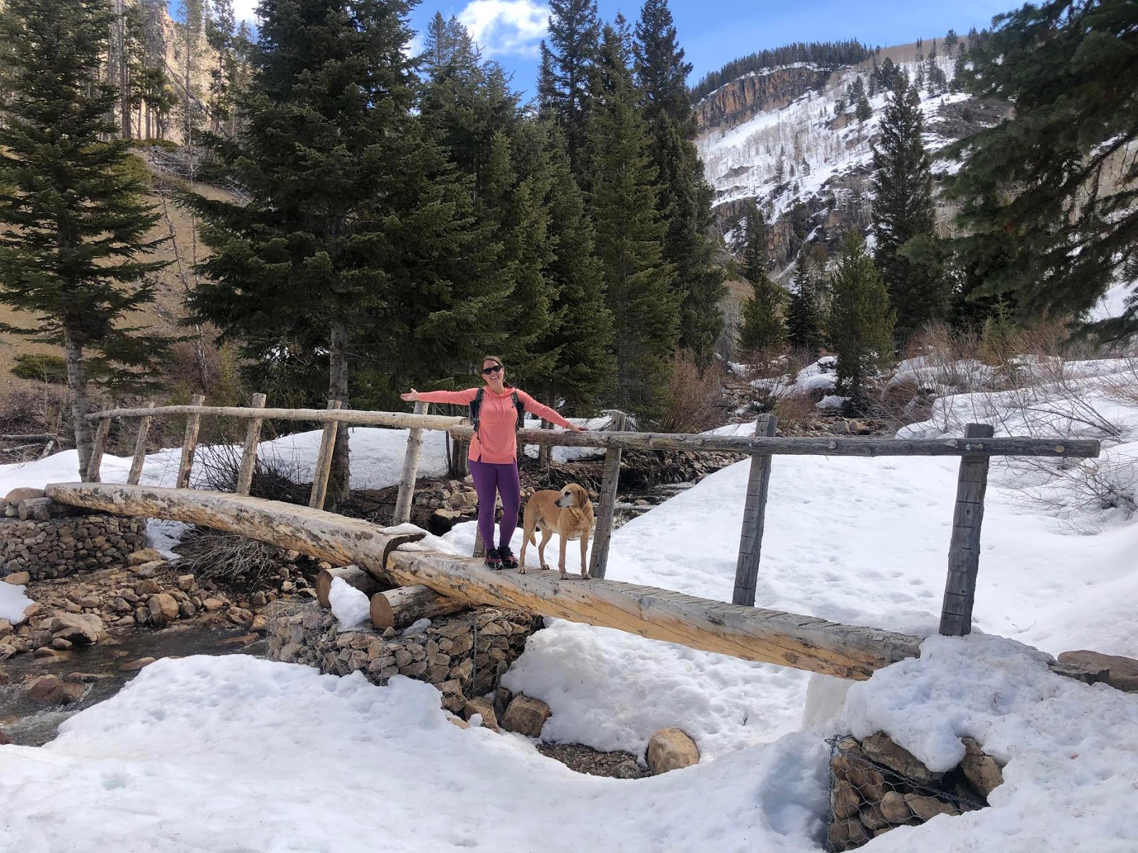 Backpacking the Shingle Creek Trail, Uintas, Backpacking in the Uintas, Backpacking with Dogs in Utah