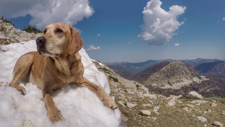 Hiking the "Wasatch 7" Peaks