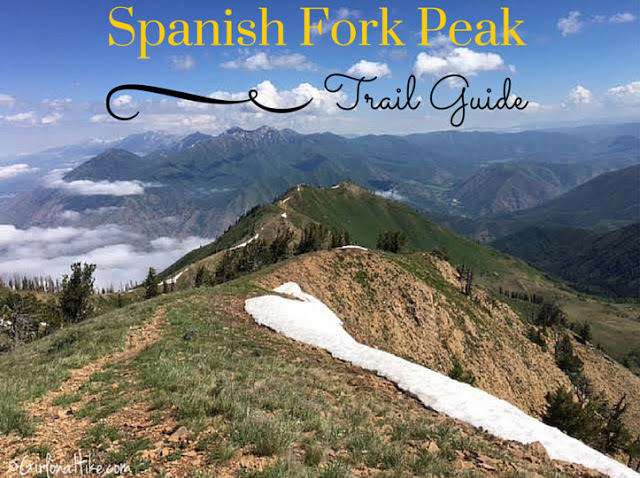 Hiking the "Wasatch 7" Peaks, Hiking to Spanish Fork Peak