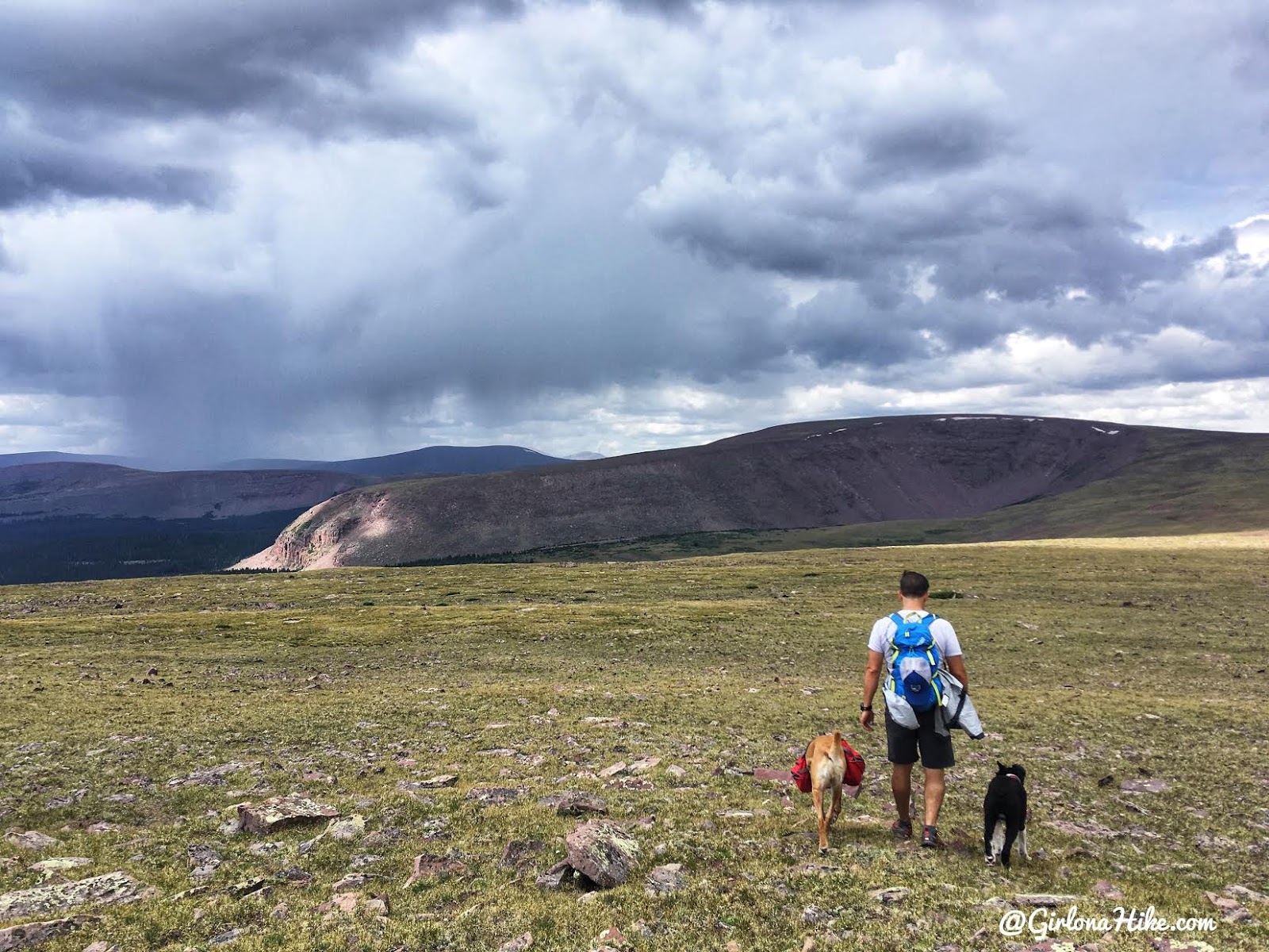 Hiking to Eccentric Benchmark, Uintah/Dagget County High Point