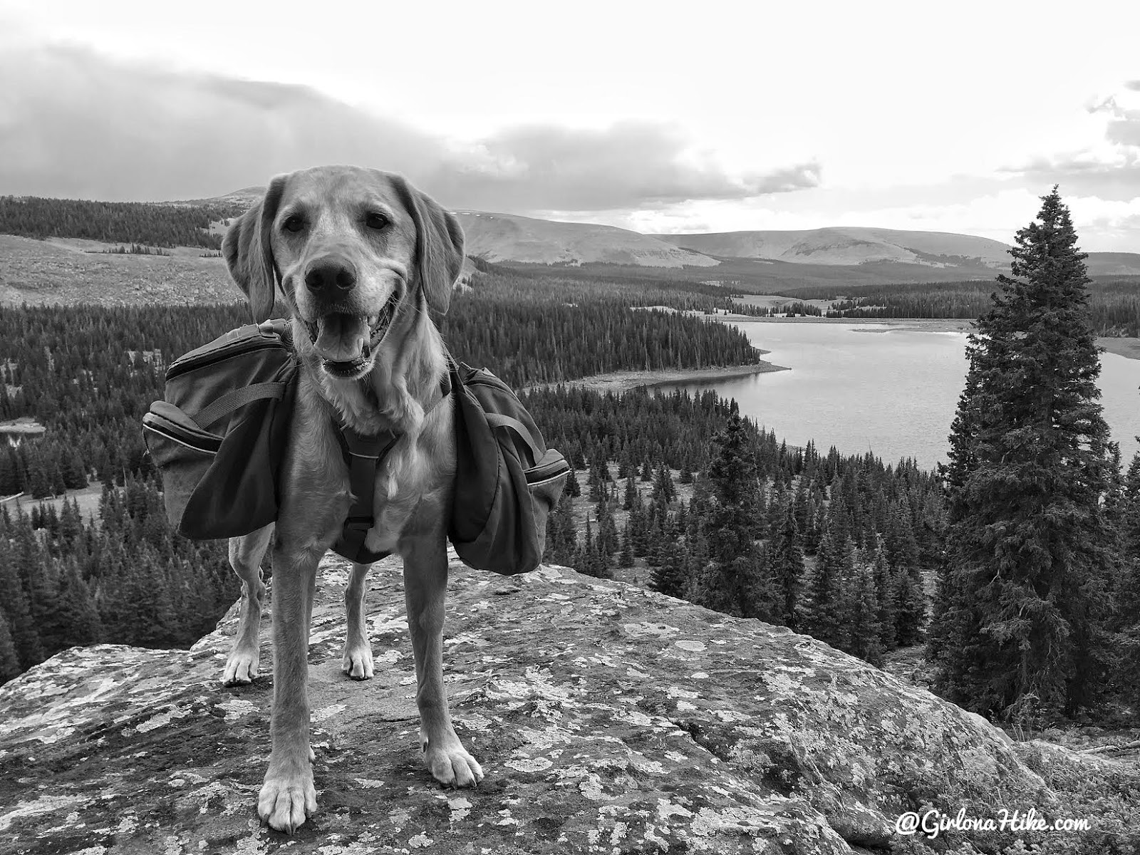 Hiking to Eccentric Benchmark, Uintah/Dagget County High Point