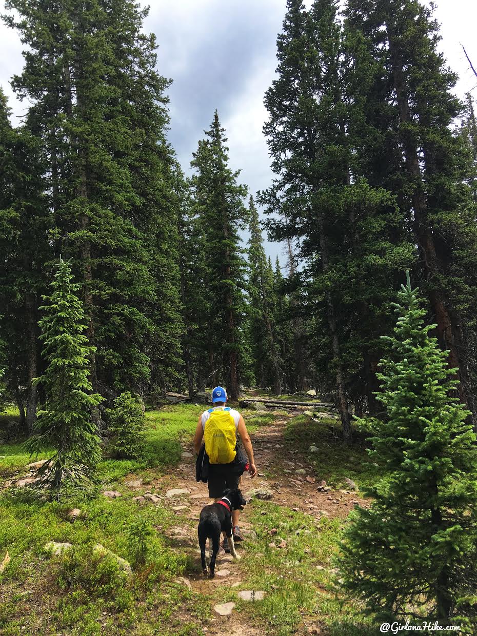 Hiking to Eccentric Benchmark, Uintah/Dagget County High Point