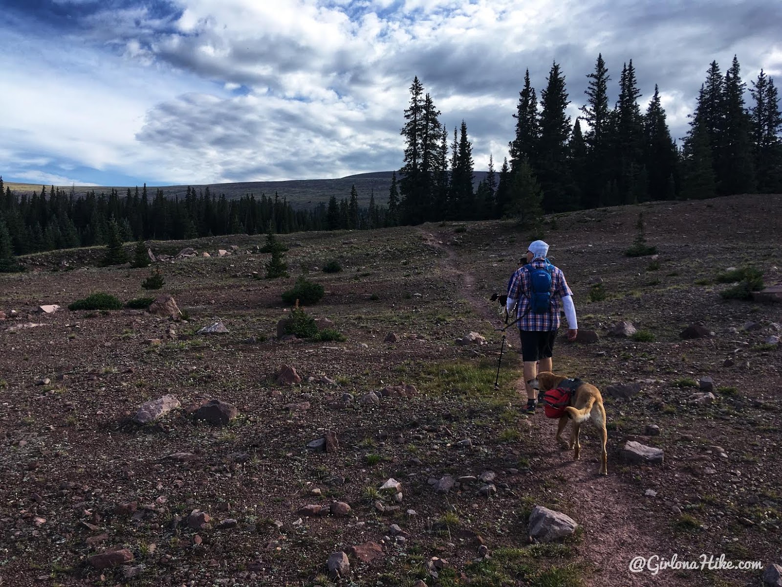 Hiking to Eccentric Benchmark, Uintah/Dagget County High Point